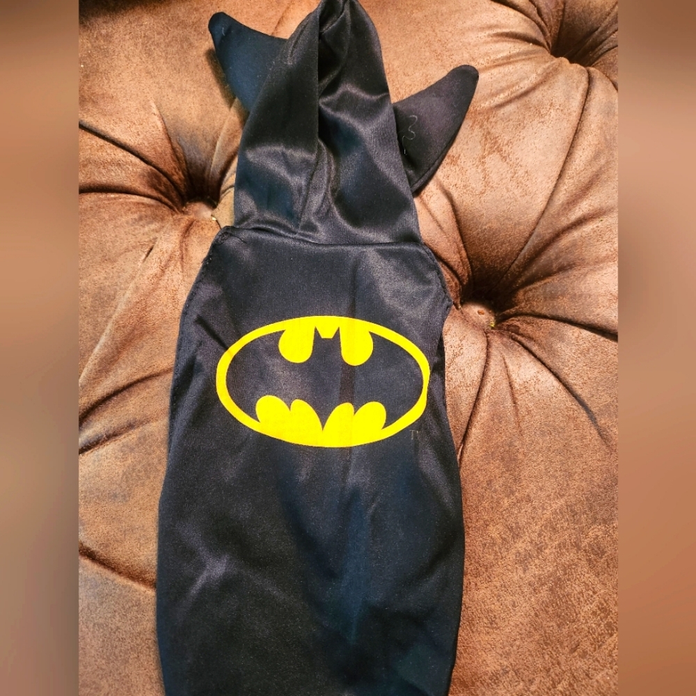 Batman Halloween Costume
